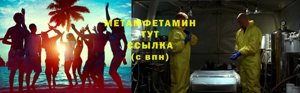 сатива Гусев