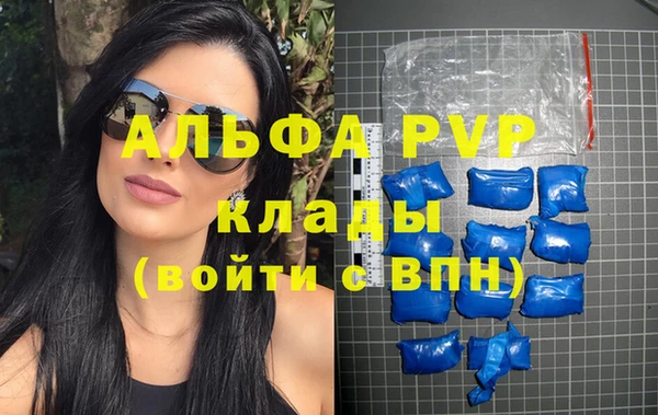 сатива Гусев