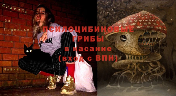 меф Гусь-Хрустальный