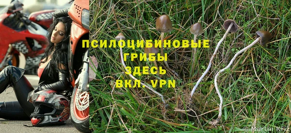 а пвп мука Гусиноозёрск