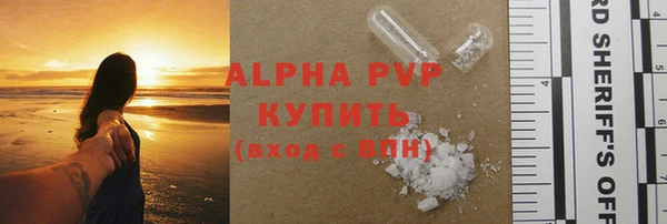 сатива Гусев