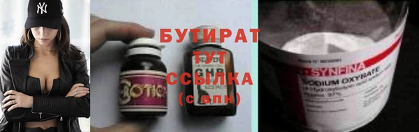 сатива Гусев