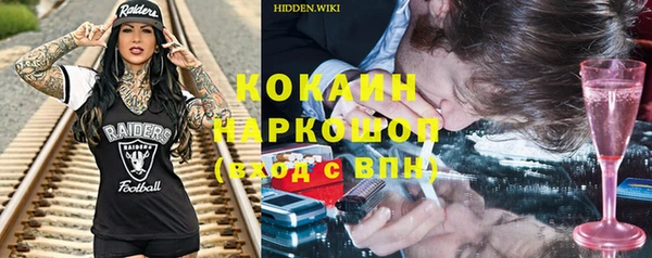 сатива Горняк