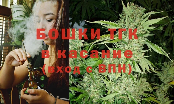 сатива Гусев