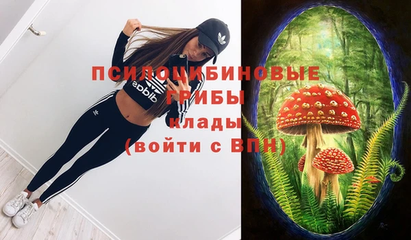 ешки Горнозаводск