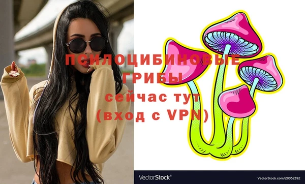 сатива Гусев