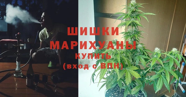 а пвп мука Гусиноозёрск