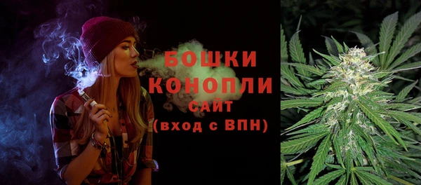 сатива Гусев